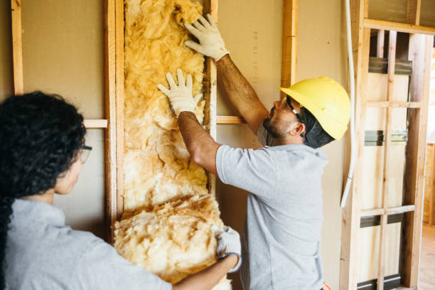 Best Basement Insulation  in Flat Rock, NC